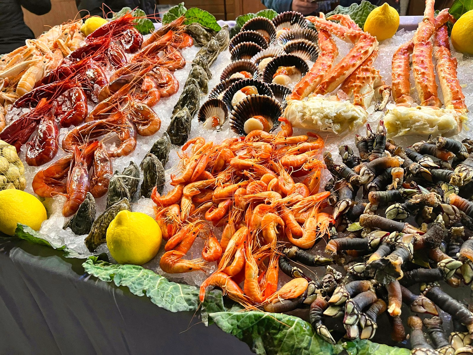 Best Seafood Restaurants in Tampa, FL: Five Local Favorites