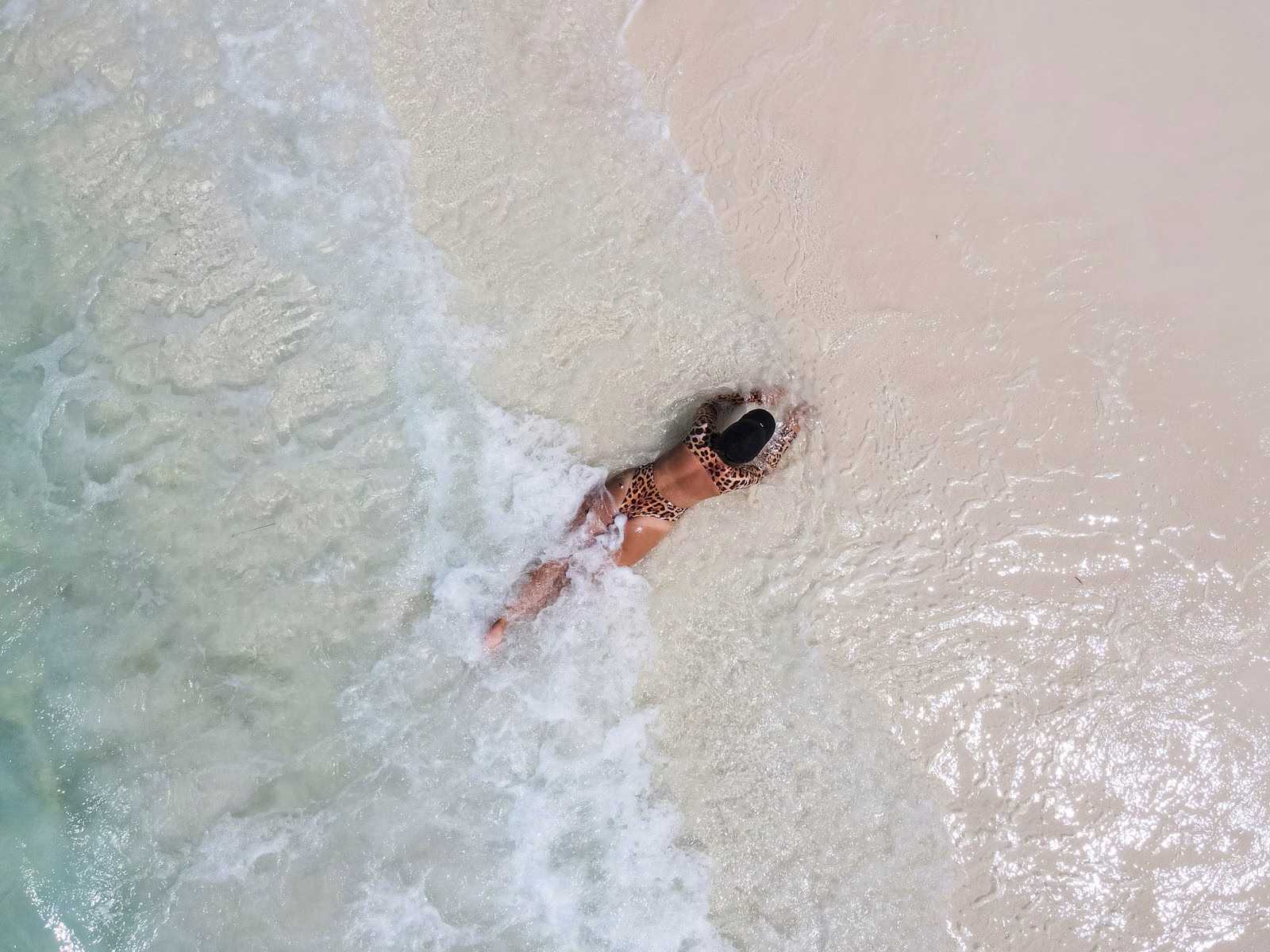 Best Springs Near Tampa, FL: A Local Guide to Crystal-Clear Swimming Holes