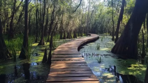 lettuce lake 1 web 1